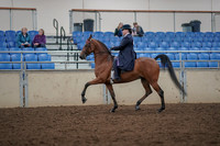 2019 Morgan Horse Show - Aug 30, 2019 - 28367