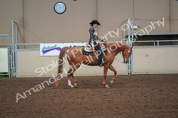 2019 Morgan Horse Show - Aug 30, 2019 - 17018