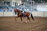 2020 - AB Morgan Horse - Fri, Sept 04 - 01464