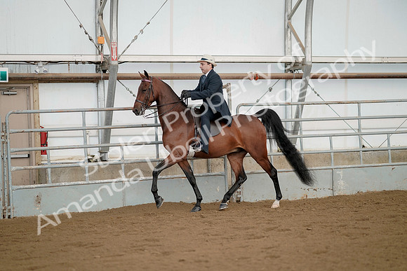 July 21, 2019 - 01658