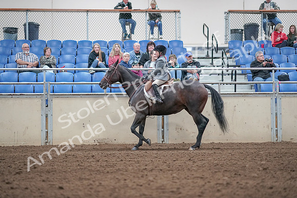2019 Morgan Horse Show - Aug 31, 2019 - 19464