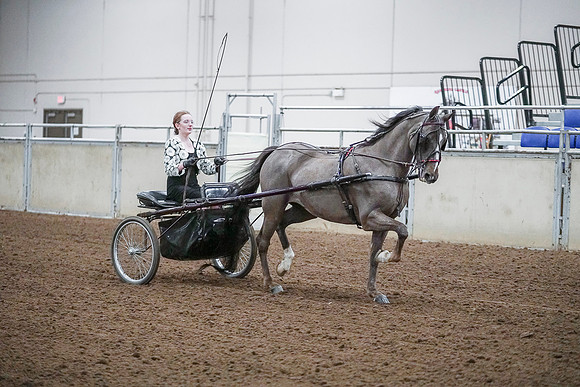 Spring Fling - Saturday - April 20, 2019  -  00289
