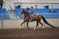 2019 Morgan Horse Show - Sept 01, 2019 - 07387