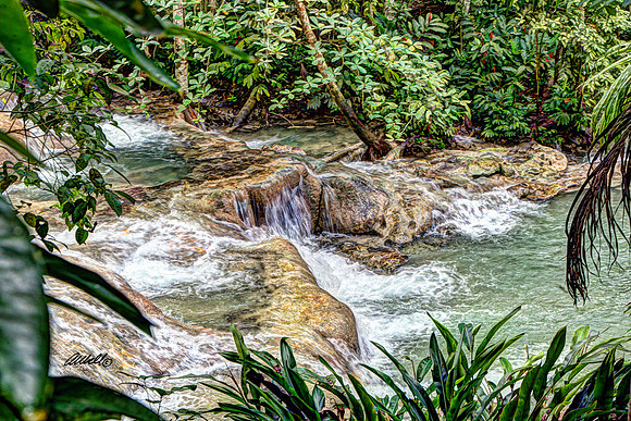 Jamaica - 025