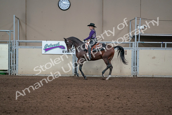 2019 Morgan Horse Show - Aug 31, 2019 - 10600