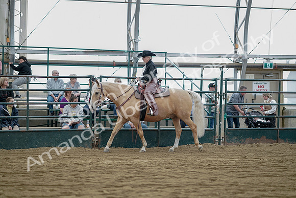 July 21, 2019 - 06537