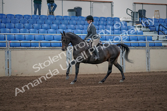 2019 Morgan Horse Show - Sept 01, 2019 - 10957_1