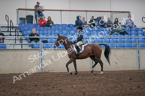 2019 Morgan Horse Show - Aug 31, 2019 - 19435