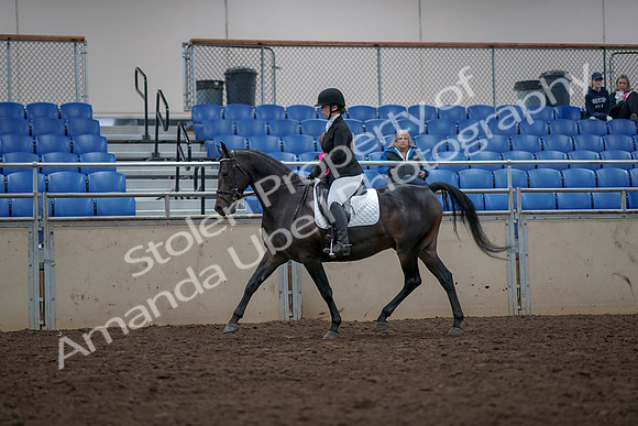 2019 Morgan Horse Show - Aug 31, 2019 - 16647