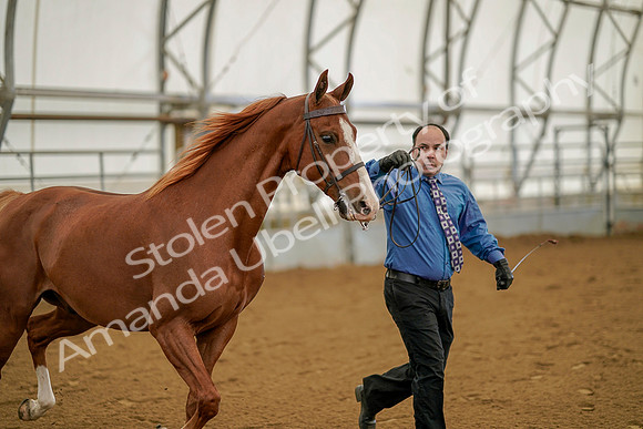 July 19, 2019 - 933