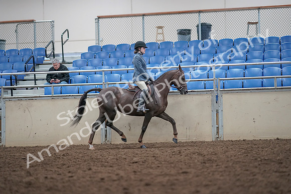 2019 Morgan Horse Show - Aug 31, 2019 - 16737