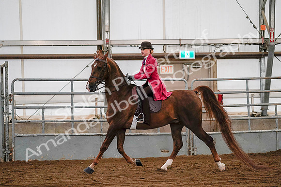 July 19, 2019 - 8746