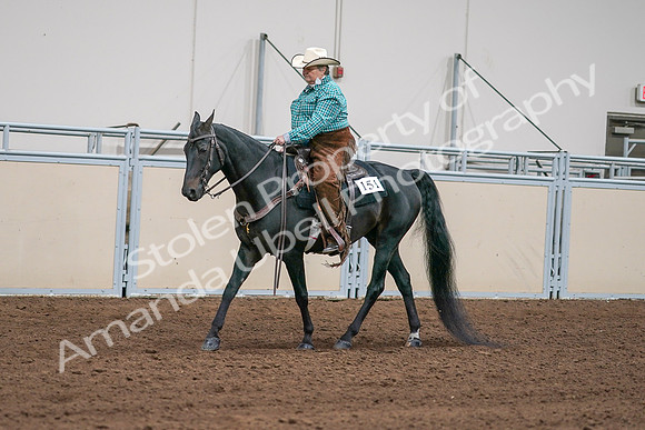 2020 - AB Morgan Horse - Sun, Sept 06 - 01581