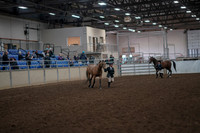 2019 Morgan Horse Show - Aug 31, 2019 - 01485