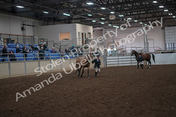 2019 Morgan Horse Show - Aug 31, 2019 - 01485