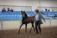 2019 Morgan Horse Show - Aug 31, 2019 - 03378