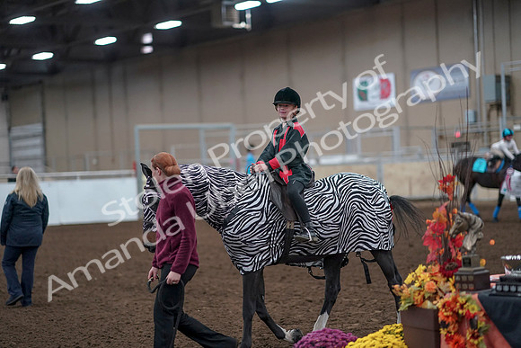 2019 Morgan Horse Show - Aug 31, 2019 - 10041