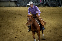 Rein - Fence/Box - Non Pro Derby