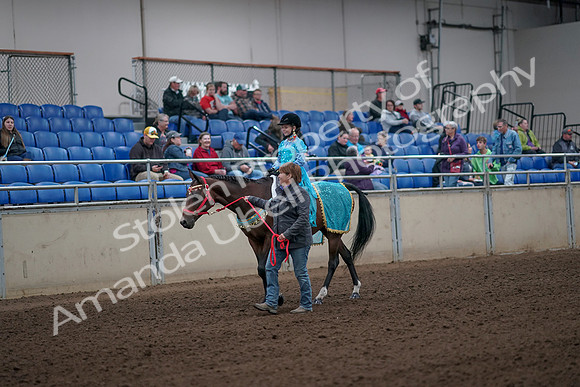 2019 Morgan Horse Show - Aug 31, 2019 - 09937