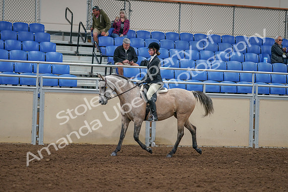 2020 - AB Morgan Horse - Sat, Sept 05 - 01192