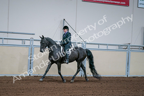 2020 - AB Morgan Horse - Fri, Sept 04 - 01569