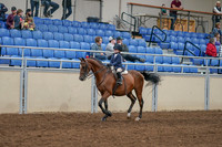 2020 - AB Morgan Horse - Sat, Sept 05 - 01746