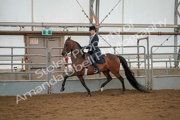 July 20, 2019 - 04268