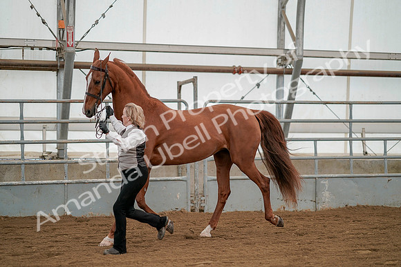 July 19, 2019 - 1352