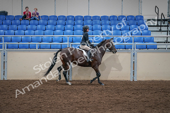 2020 - AB Morgan Horse - Sat, Sept 05 - 05134