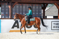 150 - HA Ranch Horse Rail Pl ATR