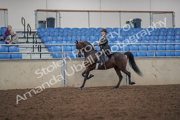 2019 Morgan Horse Show - Aug 30, 2019 - 27940