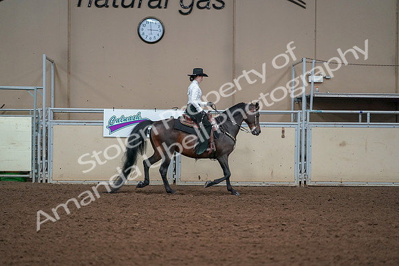 2019 Morgan Horse Show - Aug 30, 2019 - 17011