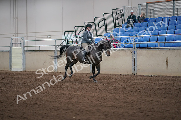 2019 Morgan Horse Show - Sept 01, 2019 - 11082
