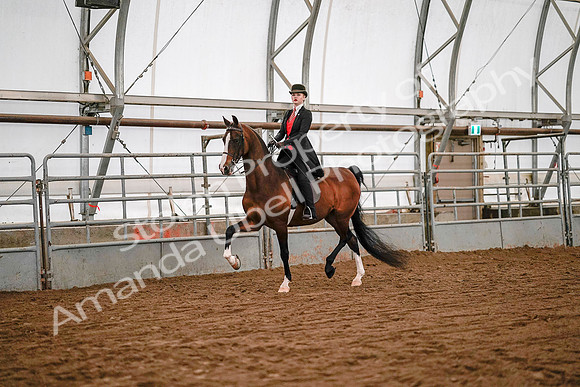 July 19, 2019 - 8701