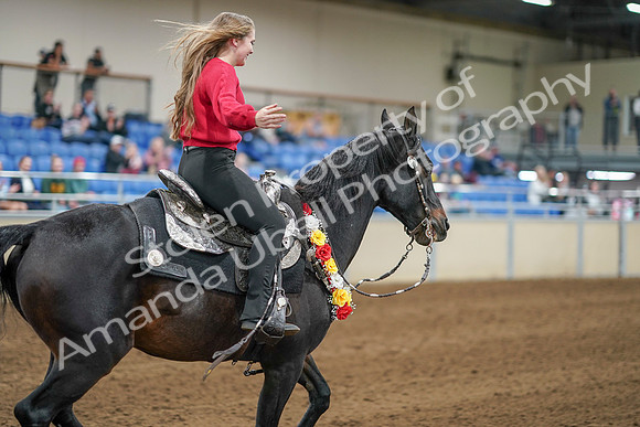 2020 - AB Morgan Horse - Sat, Sept 05 - 10579