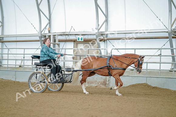 July 21, 2019 - 09290