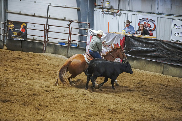 DSC01338
