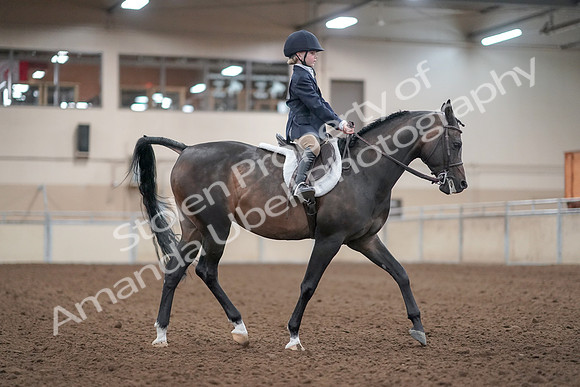 2019 Morgan Horse Show - Aug 31, 2019 - 19672