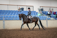 2019 Morgan Horse Show - Aug 30, 2019 - 13877