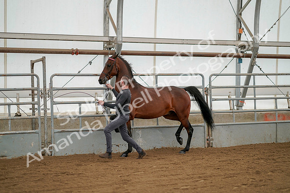 July 19, 2019 - 1252