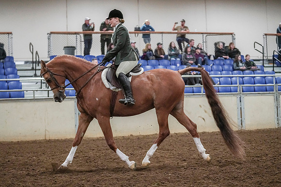 Spring Fling - Saturday - April 20, 2019  -  04527