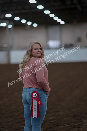 2019 Morgan Horse Show - Sept 01, 2019 - 12148