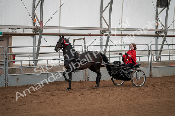 July 20, 2019 - 00298