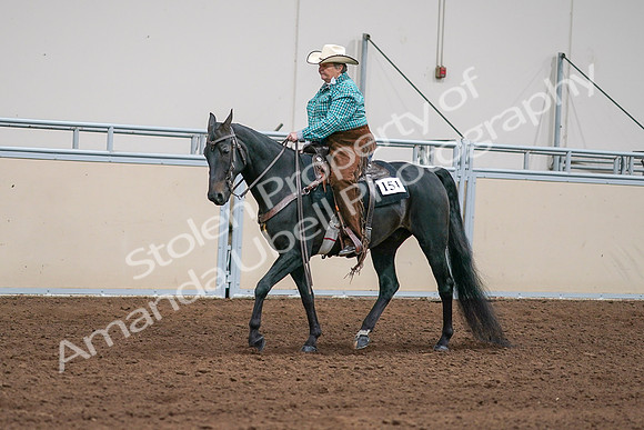 2020 - AB Morgan Horse - Sun, Sept 06 - 01589