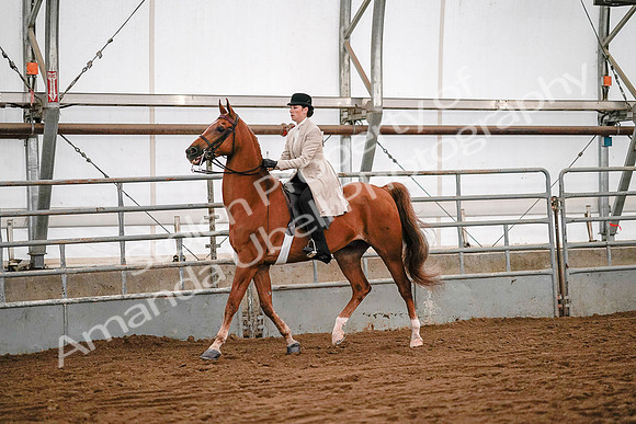 July 19, 2019 - 9015