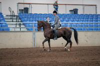 2019 Morgan Horse Show - Sept 01, 2019 - 06230