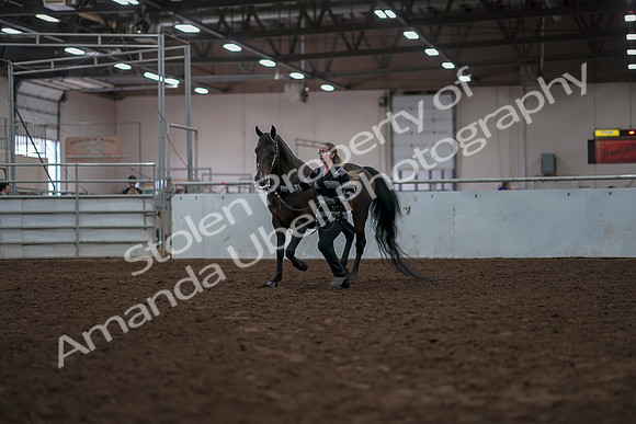 2019 Morgan Horse Show - Aug 31, 2019 - 02931