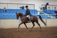 2019 Morgan Horse Show - Aug 30, 2019 - 17248