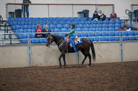 2019 Morgan Horse Show - Aug 31, 2019 - 16309