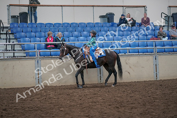 2019 Morgan Horse Show - Aug 31, 2019 - 16309